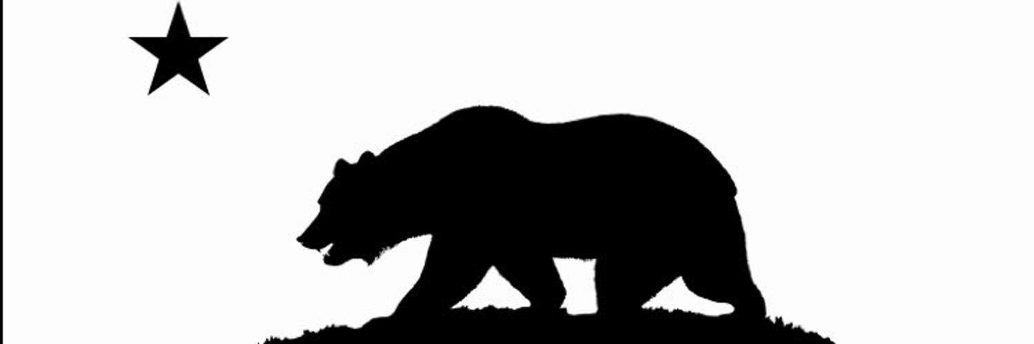 Black bear and star banner