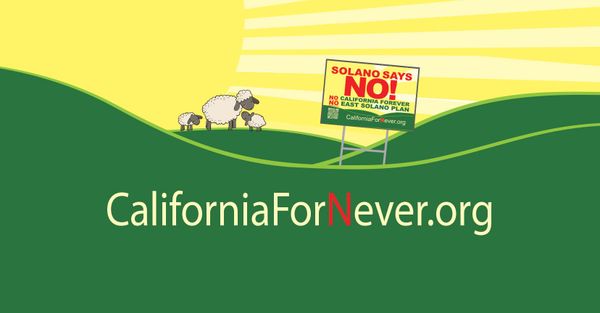 Solano County's 'scrappy resistance' defeats California Forever