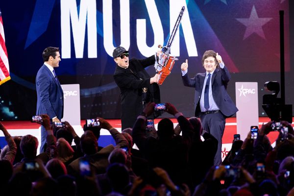 Libertarianism, 13, Dies in Argentina Chainsaw Accident